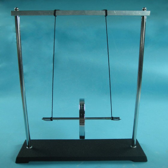 Maxwell's Pendulum - Hangzhou Xintong Technology Co., Ltd