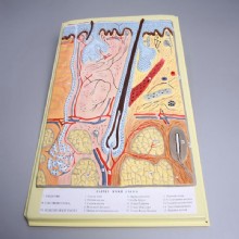 Барельефная модель 