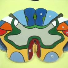 Барельефная модель 