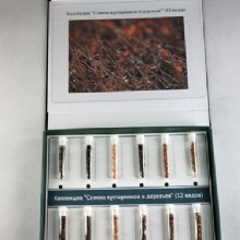 семена кустарников и деревьев, травы - 12 типов