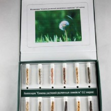 семян травы - 12 типов 