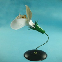 Модель цветка гороха