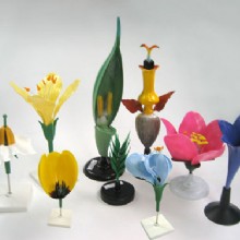  цветочная модель