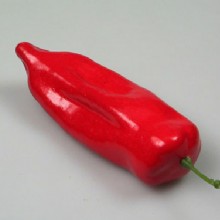 модель красного перца