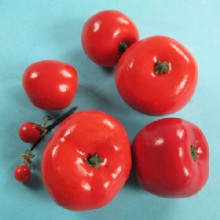 помидоры модели 