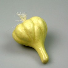 модель чеснока