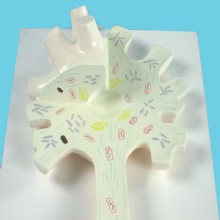 Модель “нейроной структуры ”