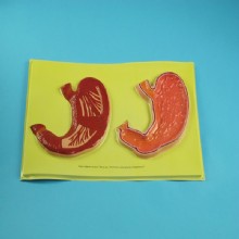 Барельефная модель 