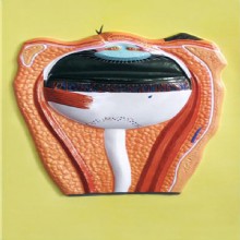 Барельефная модель 