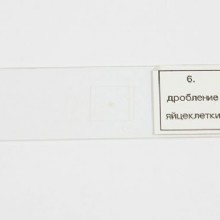 микропрепарат комплекс  3 таблеток