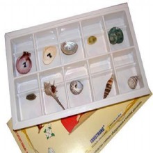 образец скорлупа