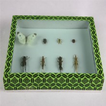 образец Полевой вредитель