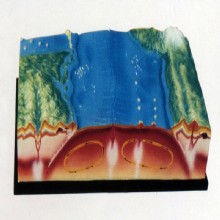 географического образования оборудования плит модель