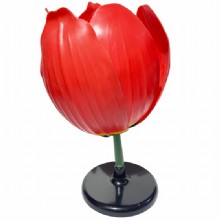 Модель цветка тюльпана