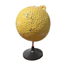 внутренняя структура модель солнца