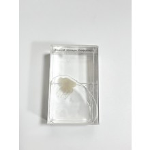 Влажный препарат Сцифомедуза