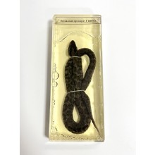 Влажный препарат Гадюка