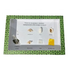 жизненный цикл шелкопрядов сборе образцов