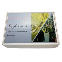 Гербарий Культурные растения (28 видов)