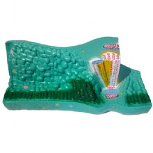 помидоры модели 