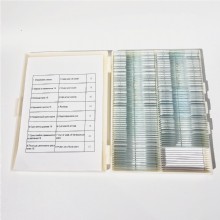 Набор микропрепаратов Ботаника 1