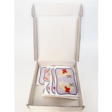 Модель деления клетки: митоз и мейоз