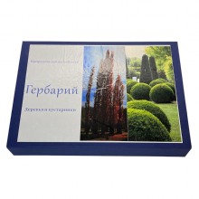 Гербарий 