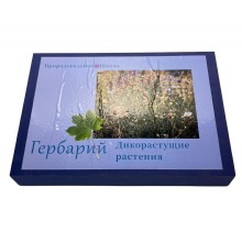 Гербарий 