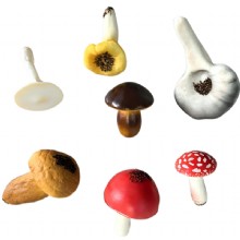 Mushroom Models Collection Set